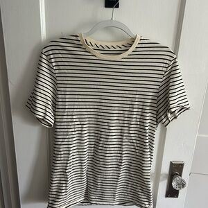 Everlane essential organic crew